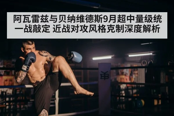 boxer landing body punch