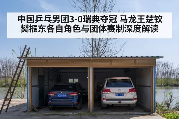 中国乒乓男团3-0瑞典夺冠 马龙王楚钦樊振东各自角色与团体赛制深度解读